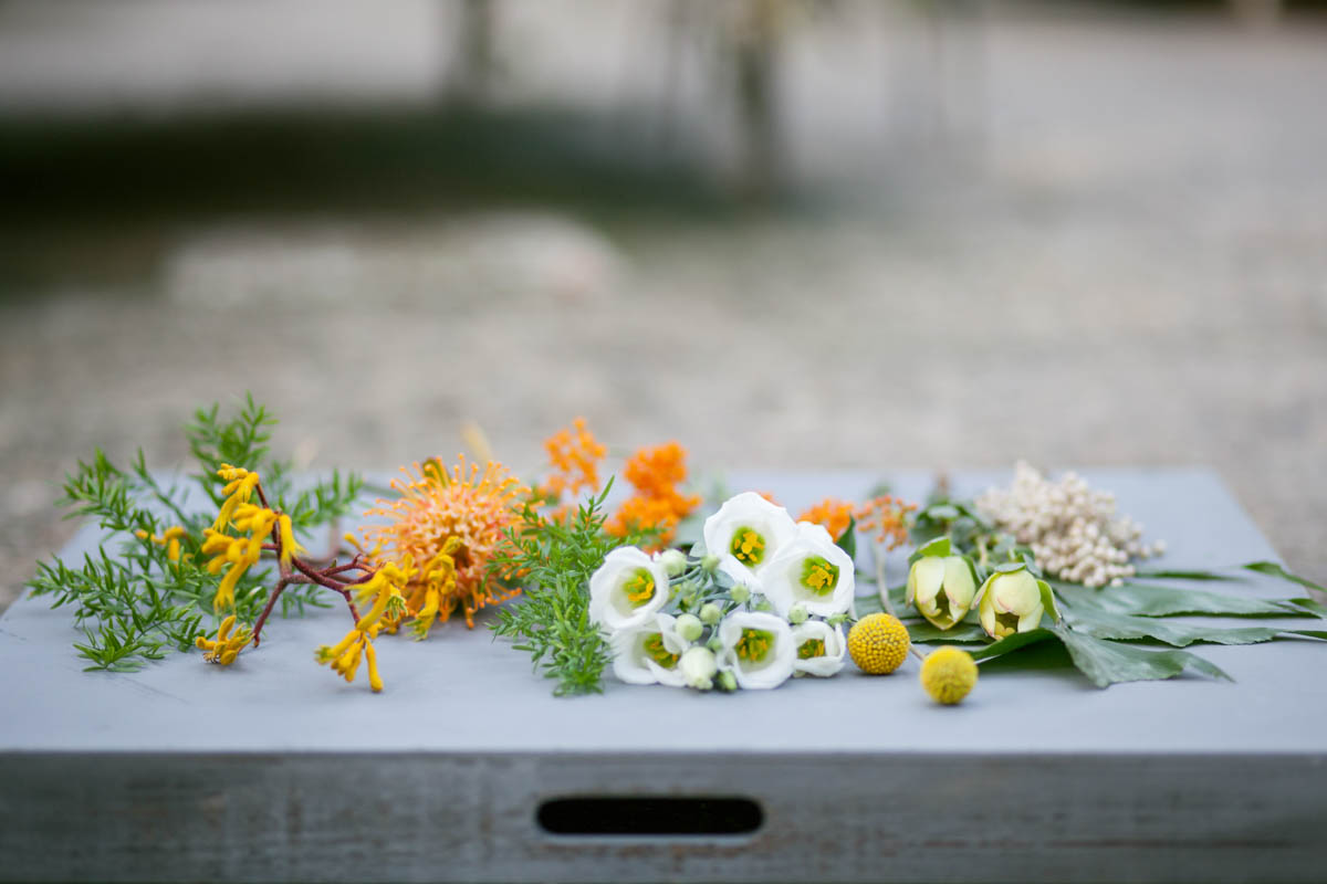 Einzelne Blüten in Orange, Gelb und Weiß liegen nebeneinander auf einem grauen Tisch