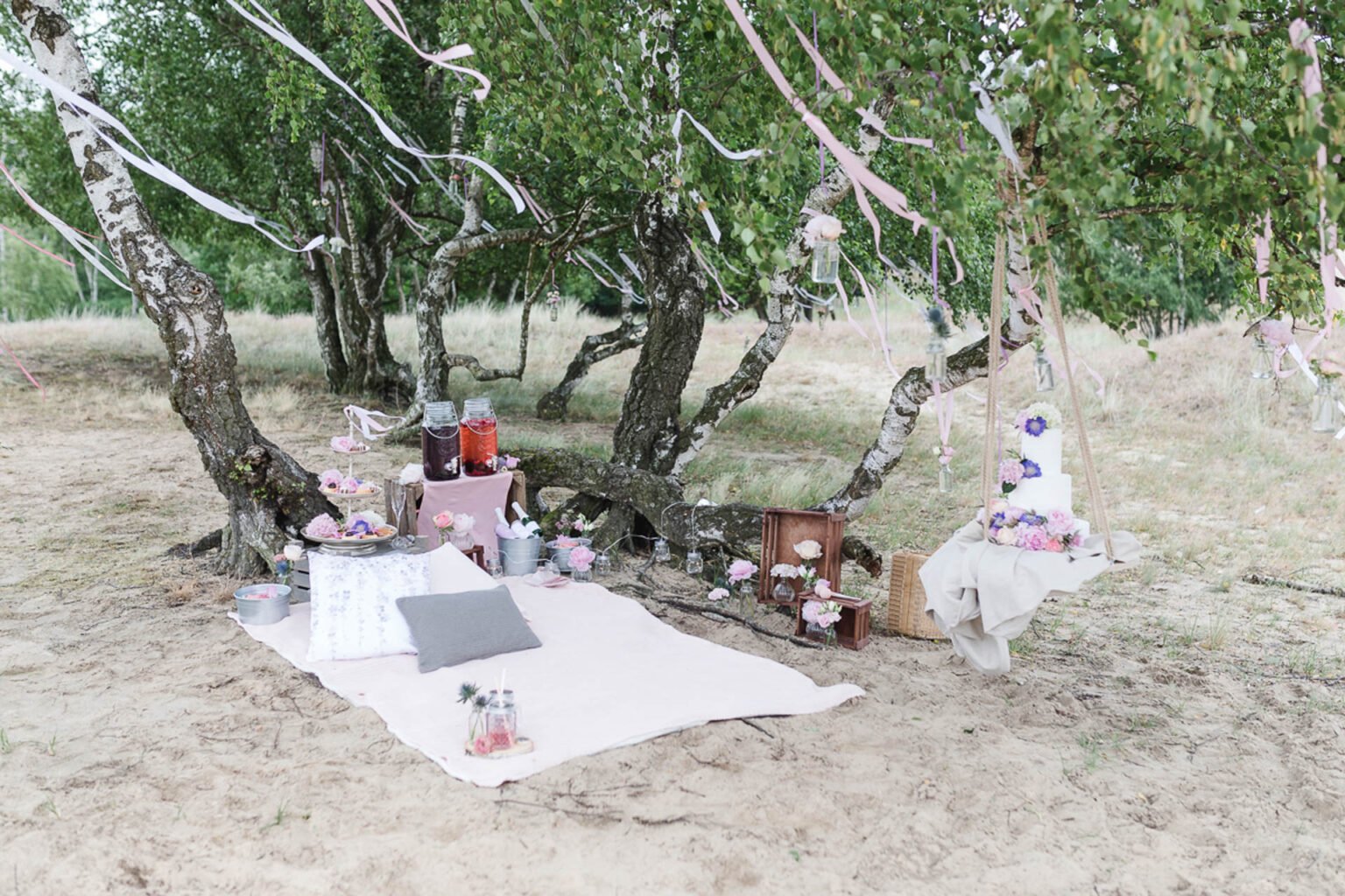 Picknickdecke mit Kissen, Holzkisten und Blumen unter Birken in den Dünen