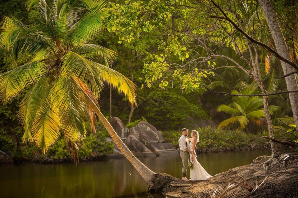 Brautpaar unter Palmen bei Destination Wedding auf den Seychellen